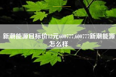 新潮能源目标价12元600777,600777新潮能源怎么样
