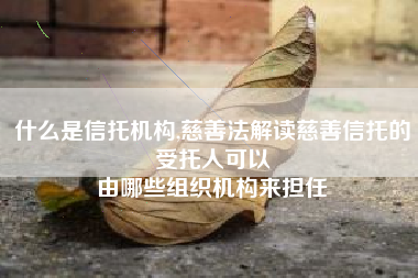 什么是信托机构,慈善法解读慈善信托的受托人可以
由哪些组织机构来担任 什么是信托机构,慈善法解读慈善信托的受托人可以
由哪些组织机构来担任