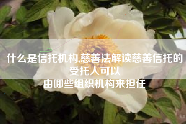 什么是信托机构,慈善法解读慈善信托的受托人可以
由哪些组织机构来担任 什么是信托机构,慈善法解读慈善信托的受托人可以
由哪些组织机构来担任