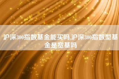 沪深300指数基金能买吗,沪深300指数型基金是宽基吗