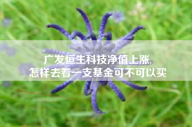 广发恒生科技净值上涨,
怎样去看一支基金可不可以买