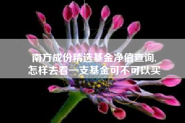 南方成份精选基金净值查询,
怎样去看一支基金可不可以买