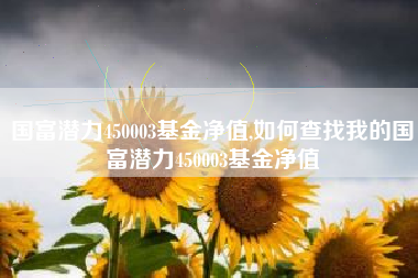 国富潜力450003基金净值,如何查找我的国富潜力450003基金净值