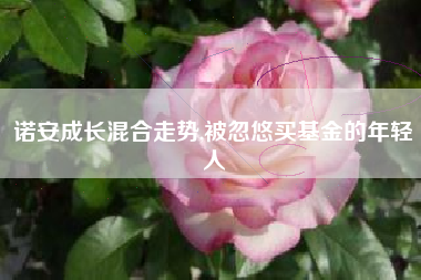 诺安成长混合走势,被忽悠买基金的年轻人