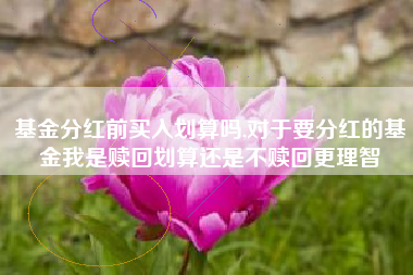 基金分红前买入划算吗,对于要分红的基金我是赎回划算还是不赎回更理智