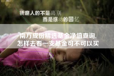 南方成份精选基金净值查询,
怎样去看一支基金可不可以买