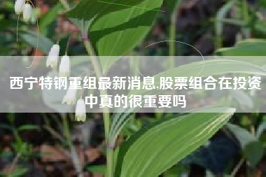 西宁特钢重组最新消息,股票组合在投资中真的很重要吗