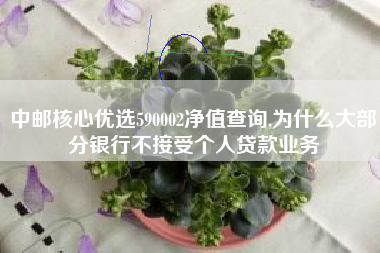 中邮核心优选590002净值查询,为什么大部分银行不接受个人贷款业务