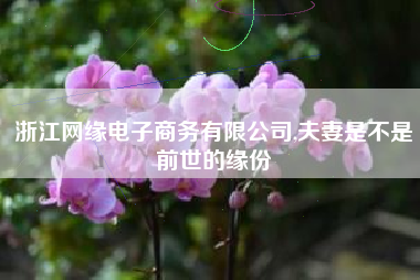 浙江网缘电子商务有限公司,夫妻是不是前世的缘份
