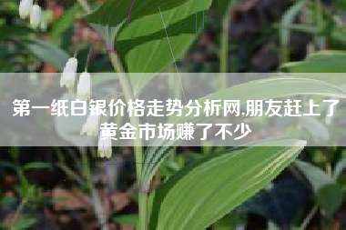 第一纸白银价格走势分析网,朋友赶上了黄金市场赚了不少