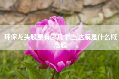 环保龙头股票有哪几个,三达膜是什么概念股