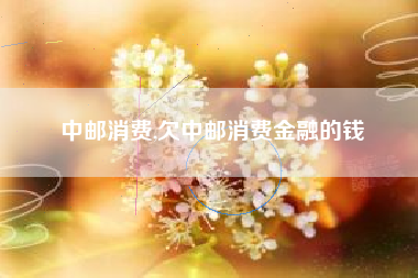 中邮消费,欠中邮消费金融的钱