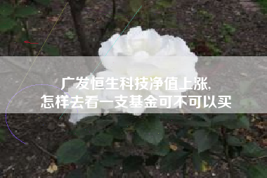 广发恒生科技净值上涨,
怎样去看一支基金可不可以买