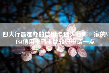 四大行最难办的信用卡,四大行哪一家的VISA信用卡普卡比较好申请一点