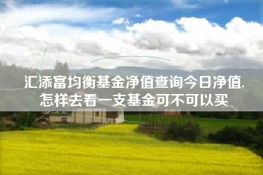 汇添富均衡基金净值查询今日净值,
怎样去看一支基金可不可以买