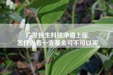 广发恒生科技净值上涨,
怎样去看一支基金可不可以买