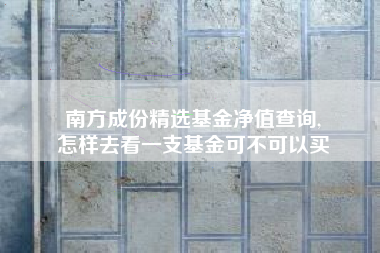 南方成份精选基金净值查询,
怎样去看一支基金可不可以买