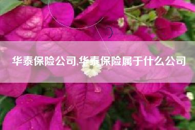 华泰保险公司,华泰保险属于什么公司