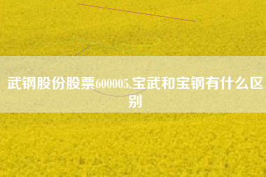 武钢股份股票600005,宝武和宝钢有什么区别