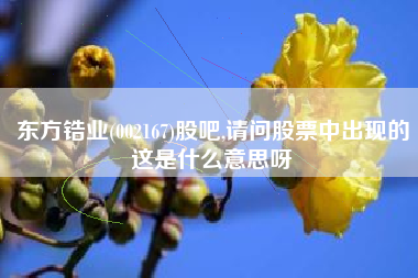 东方锆业(002167)股吧,请问股票中出现的这是什么意思呀