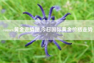 comex黄金走势图,今日国际黄金价格走势