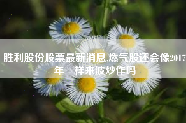 胜利股份股票最新消息,燃气股还会像2017年一样来波炒作吗