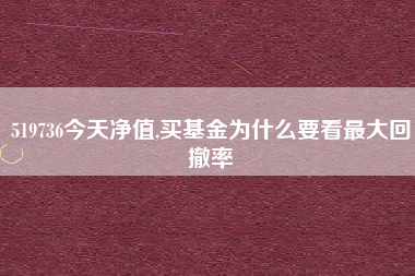 519736今天净值,买基金为什么要看最大回撤率