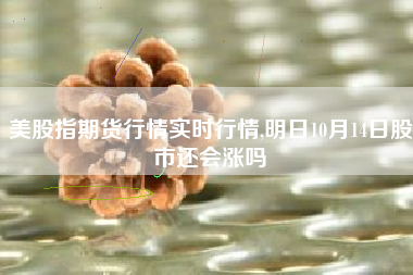 美股指期货行情实时行情,明日10月14日股市还会涨吗