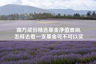 南方成份精选基金净值查询,
怎样去看一支基金可不可以买