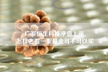 广发恒生科技净值上涨,
怎样去看一支基金可不可以买