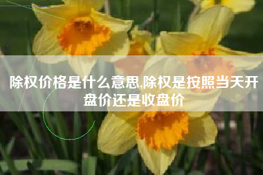 除权价格是什么意思,除权是按照当天开盘价还是收盘价