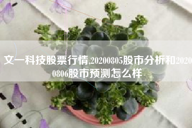 文一科技股票行情,20200805股市分析和20200806股市预测怎么样