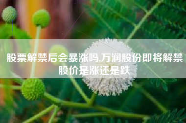 股票解禁后会暴涨吗,万润股份即将解禁股价是涨还是跌