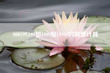 000199,199加1999加19999的简便计算