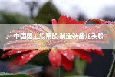 中国重工股票股,制造装备龙头股