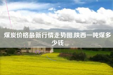 煤炭价格最新行情走势图,陕西一吨煤多少钱