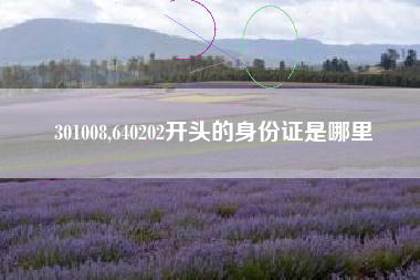 301008,640202开头的身份证是哪里