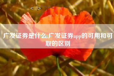 广发证券是什么,广发证券app的可用和可取的区别