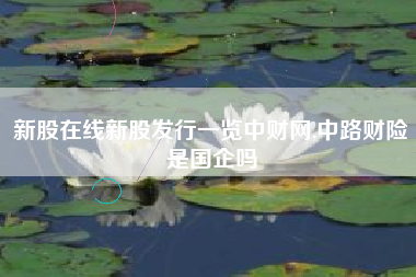 新股在线新股发行一览中财网,中路财险是国企吗