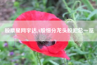 股票星网宇达,A股细分龙头股汇总一览