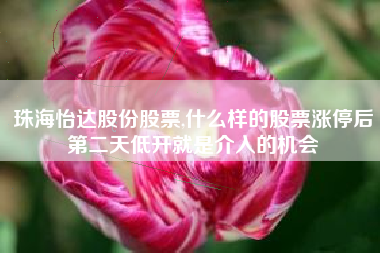 珠海怡达股份股票,什么样的股票涨停后第二天低开就是介入的机会