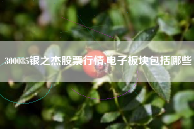 300085银之杰股票行情,电子板块包括哪些