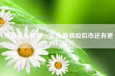券商龙头股票一览表,券商股后市还有更大的行情吗