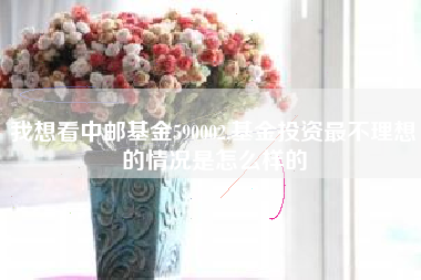 我想看中邮基金590002,基金投资最不理想的情况是怎么样的