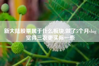 新大陆股票属于什么板块,做了5个月vlog觉得三农更实际一些