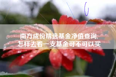 南方成份精选基金净值查询,
怎样去看一支基金可不可以买