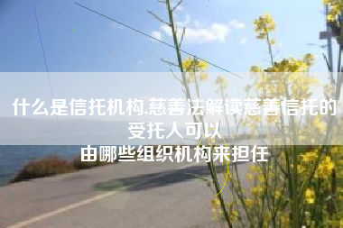 什么是信托机构,慈善法解读慈善信托的受托人可以
由哪些组织机构来担任 什么是信托机构,慈善法解读慈善信托的受托人可以
由哪些组织机构来担任