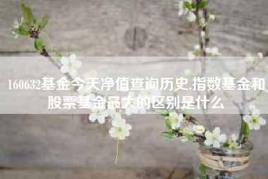160632基金今天净值查询历史,指数基金和股票基金最大的区别是什么