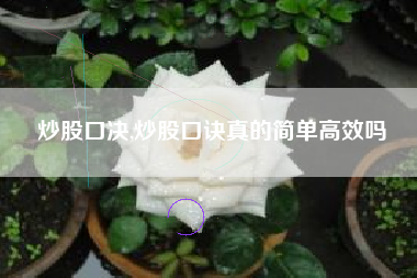 炒股口决,炒股口诀真的简单高效吗