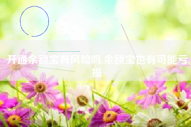 开通余额宝有风险吗,余额宝也有可能亏损